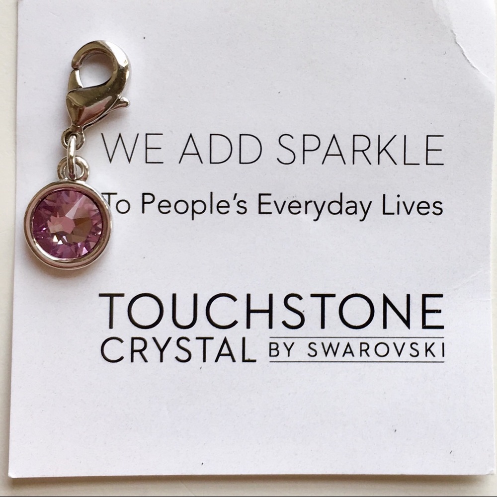 NWT Amethyst Crystal Charm